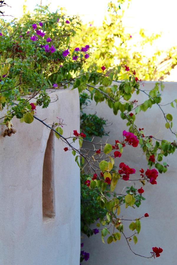 מרקש Riad Agnes Et Zohra מראה חיצוני תמונה
